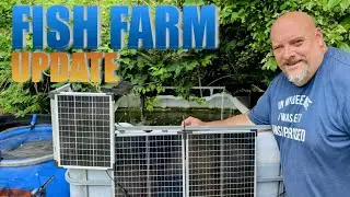 Update: Backyard Tropical Fish Farming: Breeding Shubunkin,Koi,Barbs and Florida Flagfish #Fishfarm