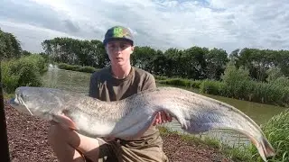 30+ fish landed! 48hrs at Coking Farms, Alder Lake.