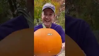 Richmond, Va fall market and JMU pride!
