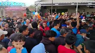 Ls REAK KOMBINASI KUDA RENGGONG MUSTIKA RAJAWALI KP WALINI 