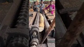 Sawmill wood system peeling machine 💯🪵|#woodworking #wood #sawing