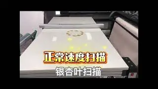 Scanning machine for paper pattern and material Pisces