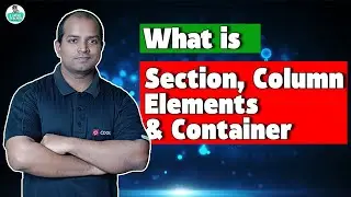 What is Section, Column, Elements & Container in Elementor | How to Use Elementor Pro For Website
