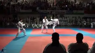 Tang Soo Do World Championships Rotterdam