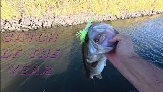 The Most Insane Bite I've Witnessed On The Legendary California Delta.