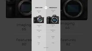 Nikon Z6 II vs Sony A7III Comparison! #camera #video #sony #comparison #nikon #z6ii #a7iii #photo
