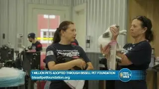 Bissell Pet Foundation One Million Milestone