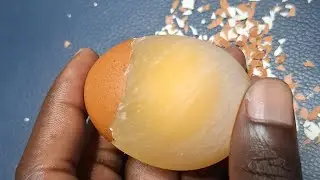 SATISFYING RAW EGG PEELING PROCESS