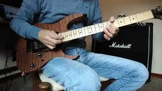 Warrant - Sometimes She Cries Guitar Solo