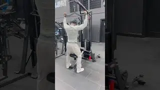 Back Day Files (Mass Edition) #gym #exercise #back
