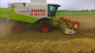 CLAAS / Graan dorsen /  Harvesting corn / Getreideernte: / Drone Landbouw / Agriculture / Combine