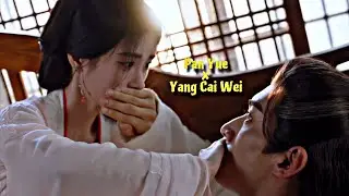 Pan Yue & Yang Cai Wei | 海來阿木