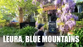 Leura Blue Mountains