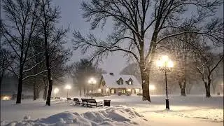 Winter Snow Wind in a Quiet Night | Meditation, Relaxation & Soul Healing.