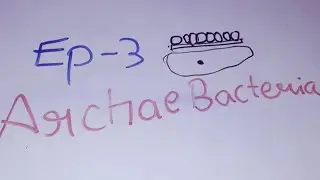 Class11 Ch2 Biological Classification |Archae Bacteria |Halophiles|Thermoacidophiles|Methanogens|
