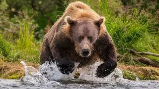 Alaska news | Funny News Memes