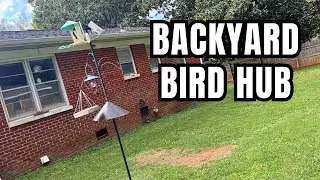 Flanagan Bird Feeder Pole 92 Inch Bird House Pole for Bird Camera Setups and Birdwatching