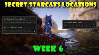Starcat Locations: Week 6: Gardens, Confluence, & Harbinger's  - Destiny 2