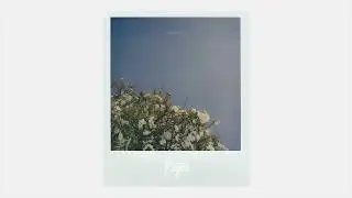 deplane - Better (Official)