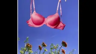 Bras 101: How to Chose the Right Bra (Only 4 Bras You Will Every Need!)