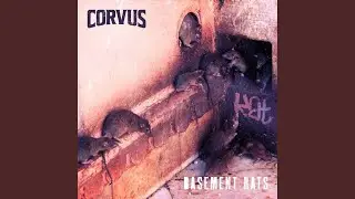 Basement Rats