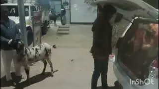 हनुमानगढ़ में एकमात्र सुपरफास्ट ट्रांसपोर्ट ||super fast transport🚛🚛 अब हनुमानगढ़ में//पूरे भारत मे