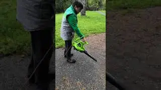 Пылесос садовый электрический Greenworks GBV2800