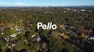 Pello Perspective | November 2024 | Alex Mintorn, Pello Upper North Shore