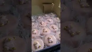اسم قناتنا Samouha mouha