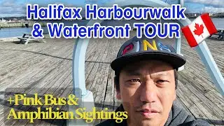 Halifax Harbourwalk & Waterfront Tour here in  🇨🇦 | Pink Bus &  Amphibian Sightings | PINS TV