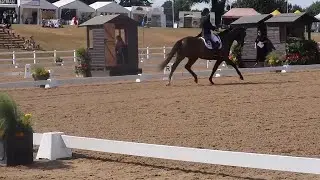 HARTPURY FESTIVAL OF DRESSAGE 2018 PART 2 | OTD VLOG