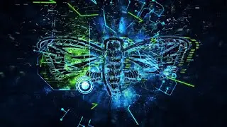 Cicada - Session