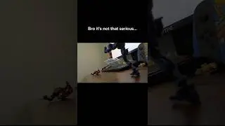 That kick was not necessary... #shorts #stopmotion
