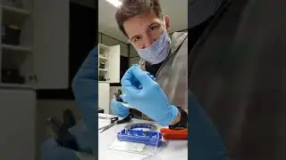 Microscópio eletrônico de varredura (MEV)