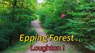 Part :2 | Loughton : Epping Forest | Oak Trail | Walk | London | United Kingdom