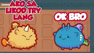 BEAST BACK LINE IN TERMINATOR TEAM.? | AXIE INFINITY 2022 | SEASON 20 | BEAST META & DUSK TERMI