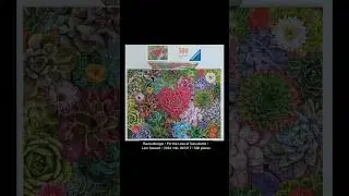 Ravensburger &bull; For the Love of Succulents &bull; Lars Stewart &bull; 2024 &bull; No. 807017 &bull; 500 pieces