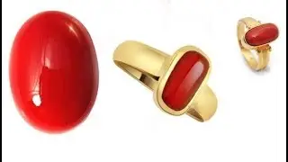 Natural Italian Moonga Red Coral in Wholesale Price