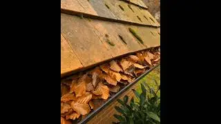 Rain Ready in Minutes! Gutter Cleaning That Protects Your Home! #wowgutters #guttercleaning #home