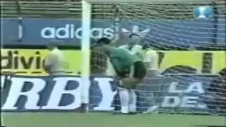 Ubaldo Fillol