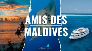 Croisière plongée avec Amis des Maldives