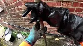 Drain Unblock, Gully Fat Jetting .