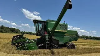 Mais uma área sendo finalizada e muito boa de produção ! Acompanha aí galera…
