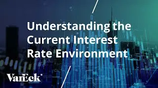 Understanding the Current Interest Rate Environment