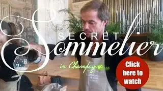 Tasting Organic & Biodynamic Champagne in Reims