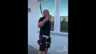 Home window tinting, and Turf protection