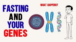 What Happens to Your Genes When You Fast (Fasting Benefits)