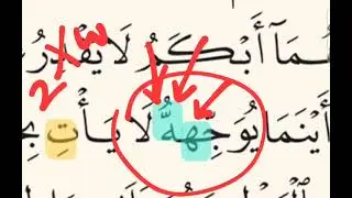 🔻Tajweed 🔻- page 275- Surah Al Nahl ayat 76