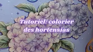 Tutoriel: colorier des hortensias