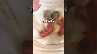 Newly hatched bird egg | feeding them until fully grown #birds #animals #egg #pets #animalrescue